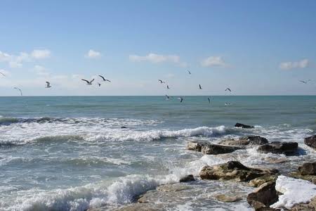 images (6)