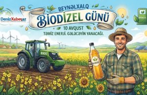 Ekoloji təmiz yanacaq