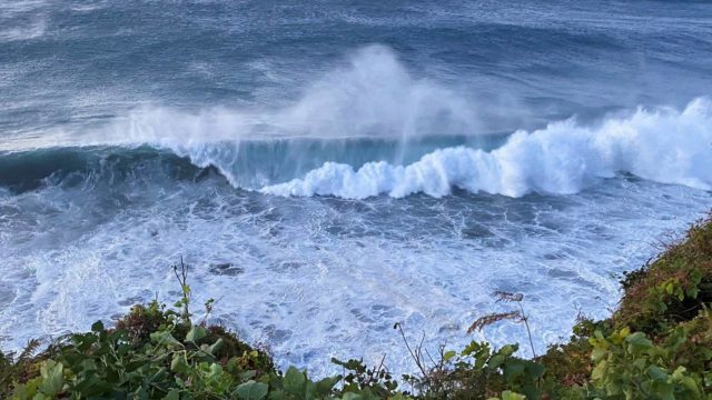 wide_16_9_133f36fa0ec5543487a668d2af029074