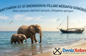 22 sentyabr – Ümumdünya Filləri Müdafiə Günüdür