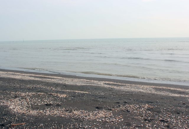16814715576365929124_1200x630
