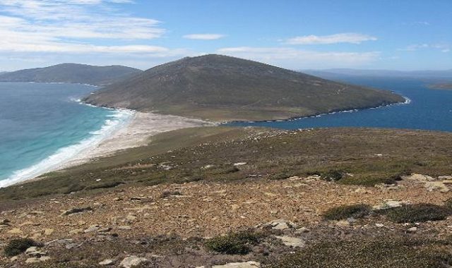 saunders-island-falkland