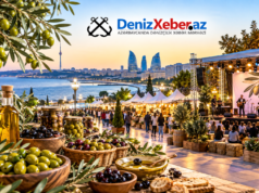 Bakıda Zeytun Festivalı keçiriləcək